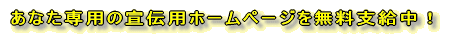 ���Ȃ���p�̐�`�p�z�[���y�[�W�𖳗��x�����I